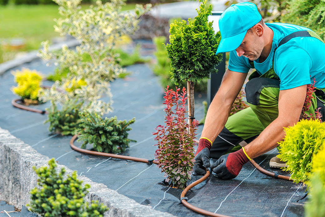 Garden Cleaning